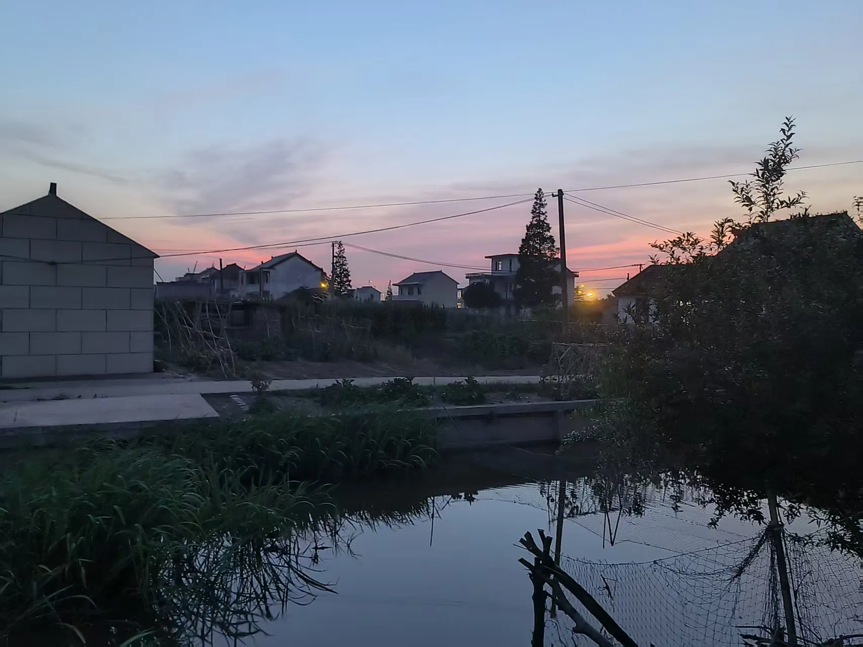 Cover Image of the Post